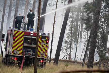 Waldbrandbekämpfung bei Treuenbrietzen