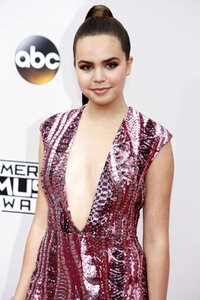 American Music Awards 2016 in Los Angeles
