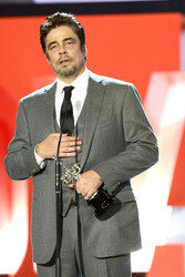 Donostia Award für Benicio Del Toro, San Sebastian Film Festival 2014