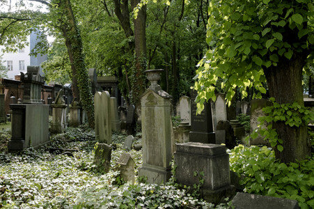 Symbolfoto Friedhof