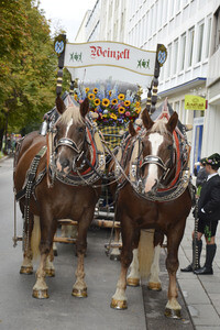 Wiesn-Einzug der Festwirte und Brauereien in München