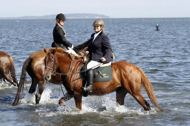 Rügen Cross Country 2014