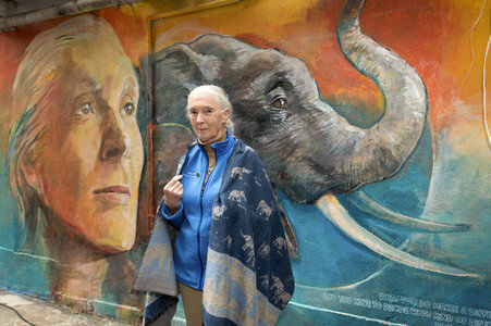 Hope for Wildlife Gala Dinner in Hongkong