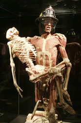 'Körperwelten - Eine Herzenssache' Pressekonferenz, Hamburg