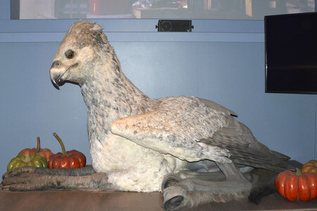 Harry Potter Studio Tour in Leavesden