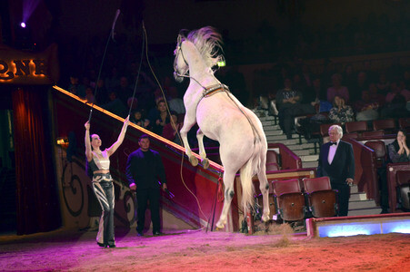 Premiere der 3. Winterspielzeit des Circus Krone in München