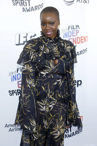 Film Independent Spirit Awards 2018 in Santa Monica