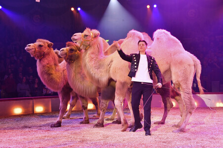 Circus Krone Premiere 'Ich.Du.Wir.Krone' in München