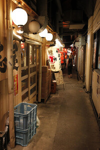 Sightseeing Tokio