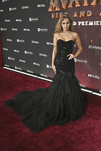 Filmpremiere 'Avatar: Fire and Ash' in Los Angeles