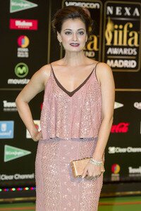 17. International Indian Film Academy Award in Madrid