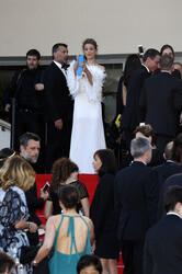 'Drachenzähmen leicht gemacht 2' Premiere, Cannes Film Festival 2014
