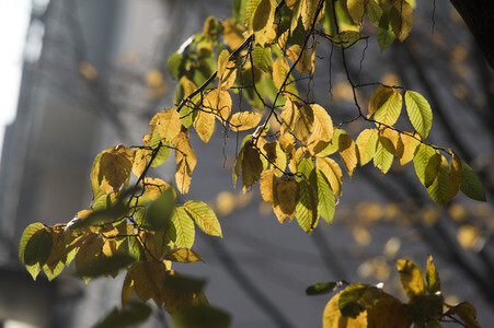 Symbolfoto Herbst