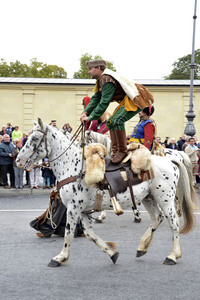 Trachten- und Schützenzug 2015 in München