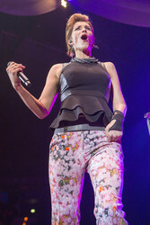 Die große Schlager-Starparade 2015 in Hamburg