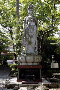 Sightseeing Tokio