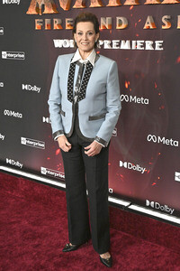 Filmpremiere 'Avatar: Fire and Ash' in Los Angeles