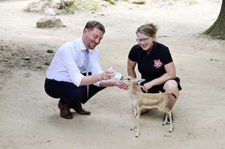 Pre-Opening der neuen Entdeckerwelt 'Wild Love Stories' in Görlitz