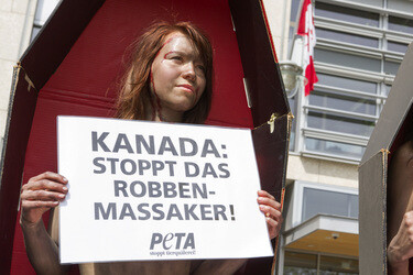 PETA Demonstration gegen das Robbenschlachten, Berlin