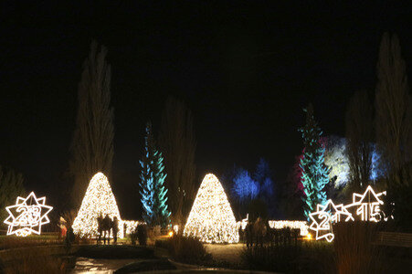 Eröffnung des Christmas Garden 2017 in Berlin