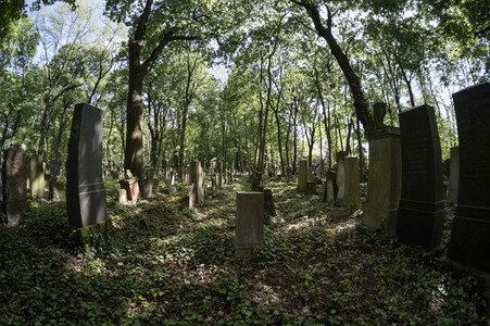 Symbolfoto Friedhof