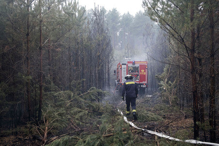 Waldbrandbekämpfung bei Treuenbrietzen