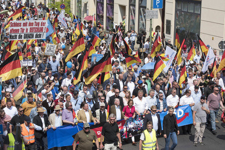 AfD Demo 'Zukunft Deutschland' in Berlin