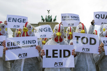 PETA Demonstration gegen Hühnerhaltung, Berlin