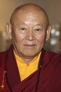 Drikung Kyabgön Chetsang in Hamburg