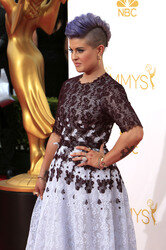66. Primetime Emmy Awards, Los Angeles