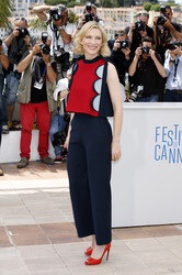 'Drachenzähmen leicht gemacht 2' Photocall, Cannes Film Festival 2014