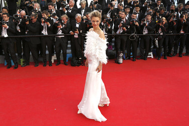 'Drachenzähmen leicht gemacht 2' Premiere, Cannes Film Festival 2014