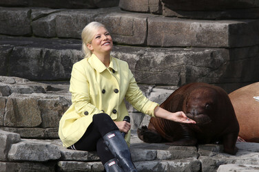 Walross Taufe im Tierpark Hagenbeck, Hamburg