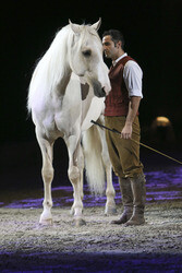 Apassionata Show 'Die goldene Spur', Dortmund