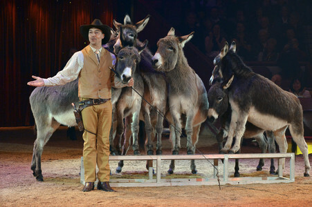 Circus Krone Premiere in München