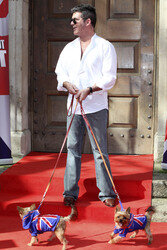 'Britain's Got Talent' Photocall, London