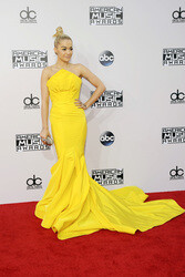 American Music Awards 2014, Los Angeles