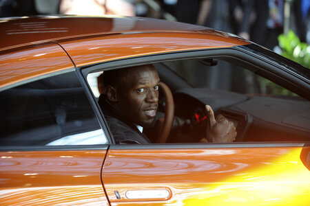 116. New York International Auto Show in New York