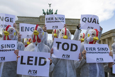 PETA Demonstration gegen Hühnerhaltung, Berlin
