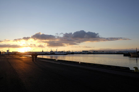 Sightseeing Reykjavik
