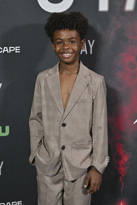 Filmpremiere 'Stay' in Los Angeles
