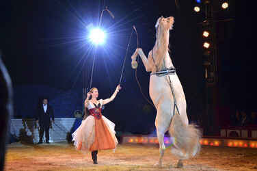 'Evolution' Weltpremiere im Circus Krone, München