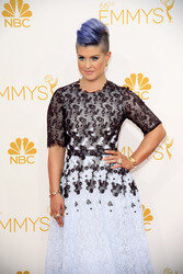 66. Primetime Emmy Awards, Los Angeles
