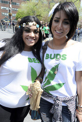 Cannabis Parade, New York