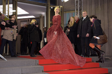 'Love & Mercy' Premiere, Berlinale 2015