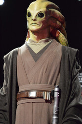 Ausstellung 'Star Wars Identities' in Köln