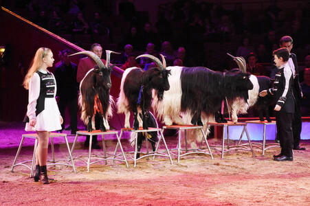 Premiere 3. Winterprogramm 2018 des Circus Krone in München