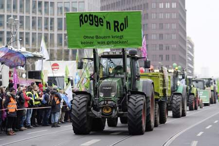 Demonstration 'Wir haben es Satt!' in Berlin