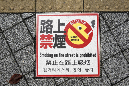Sightseeing Tokio