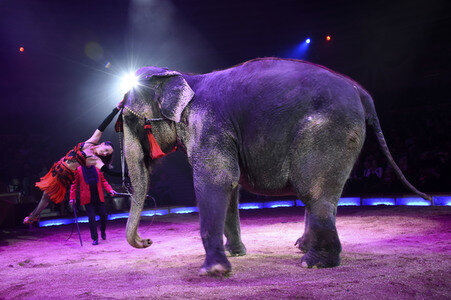 Circus Krone Premiere in München